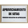 APROVECHAMIENTO DE SETAS